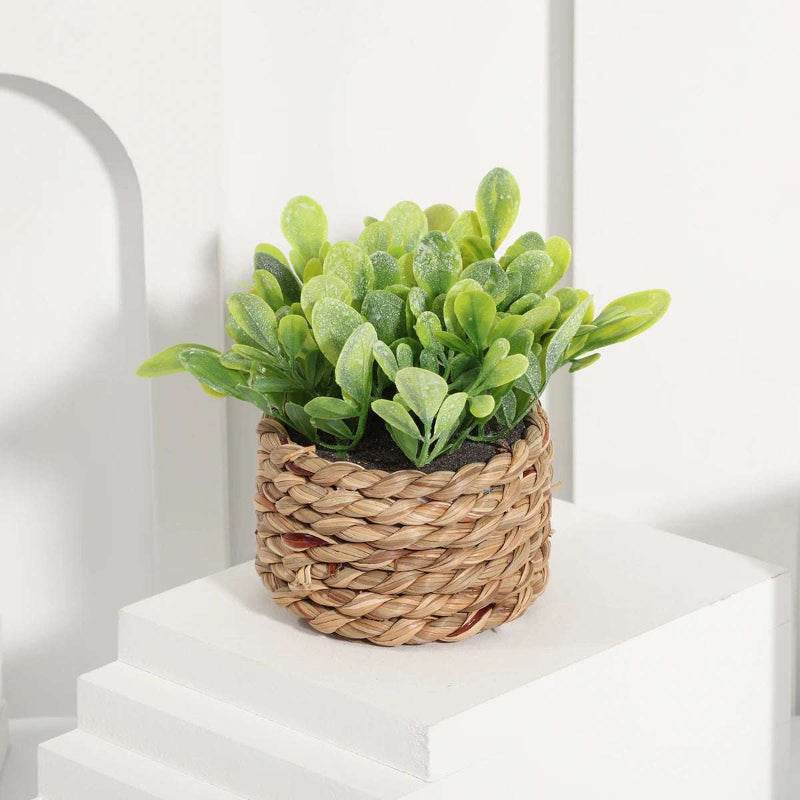 EMESA HOME Artificial Eucalyptus Potted Plant – Small 11cm Woven Pot, Green Grass Mound, PE Material Home Decoration Plant 02 10-11cm