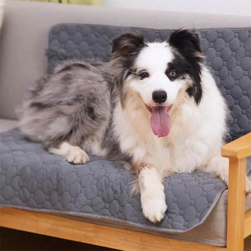 EMESA HOME Reusable Dog Pee Pad – Waterproof & Washable Pet Training Mat for Floor, Sofa, Car Seat & More