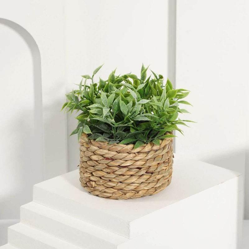 EMESA HOME Artificial Eucalyptus Potted Plant – Small 11cm Woven Pot, Green Grass Mound, PE Material Home Decoration - EMESA HOME™