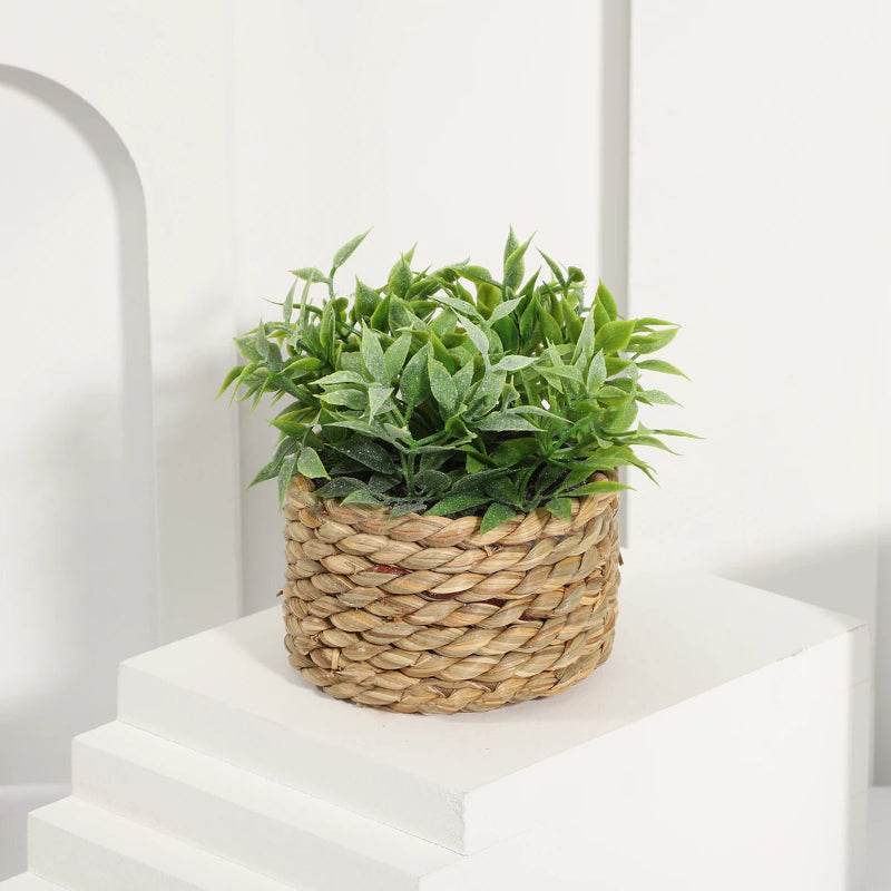 EMESA HOME Green Artificial Eucalyptus Grass - Small Woven Potted Plant, 11cm PE Material, Home Decoration Plant 01 10-11cm