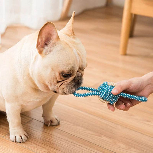 EMESA HOME Interactive Cotton Rope Dog Toy – Mini Chew Ball & Toothbrush Toy for Puppies and Dogs of All Sizes, Durable, Safe, and Fun Pet Accessory