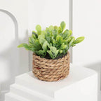 EMESA HOME Artificial Eucalyptus Potted Plant – Small 11cm Woven Pot, Green Grass Mound, PE Material Home Decoration - EMESA HOME™