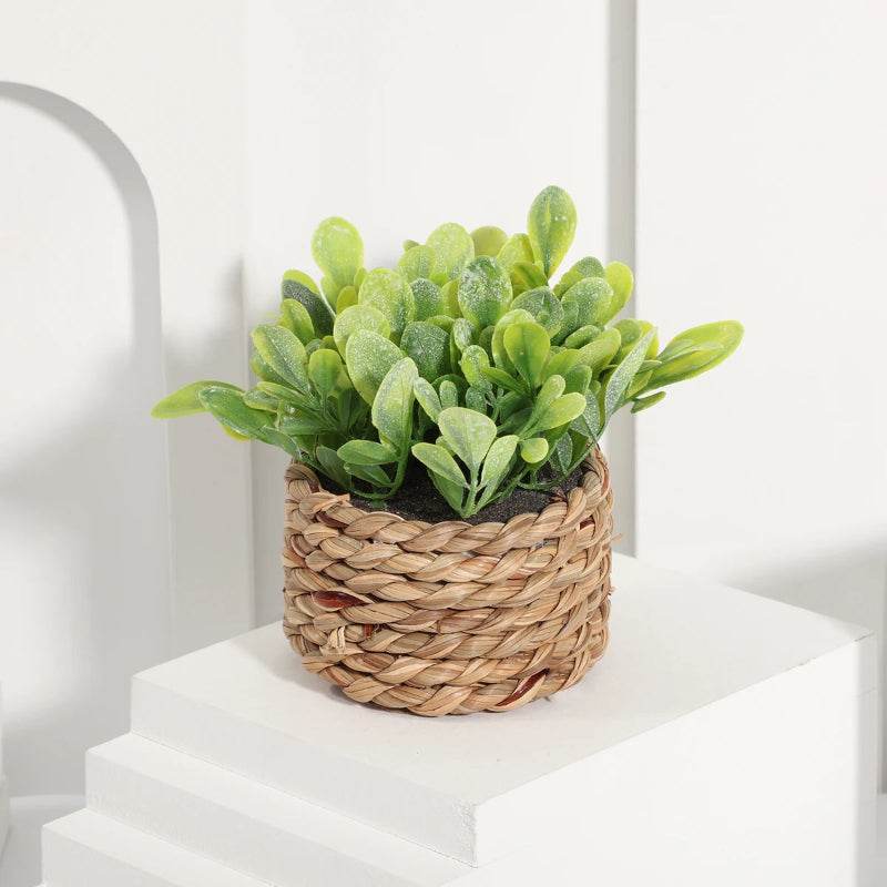 EMESA HOME Green Artificial Eucalyptus Grass - Small Woven Potted Plant, 11cm PE Material, Home Decoration Plant 02 10-11cm