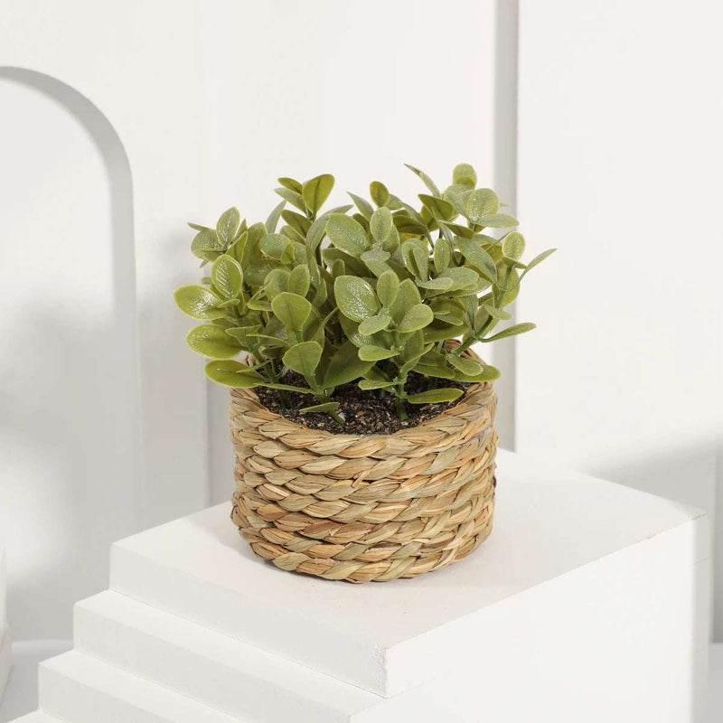 EMESA HOME Artificial Eucalyptus Potted Plant – Small 11cm Woven Pot, Green Grass Mound, PE Material Home Decoration - EMESA HOME™