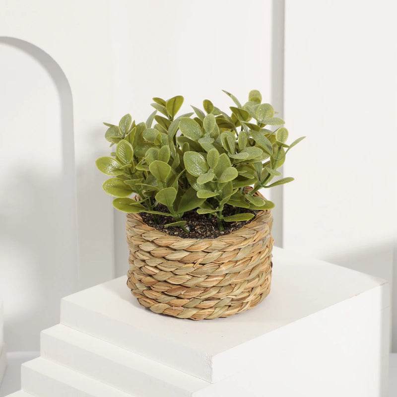 EMESA HOME Green Artificial Eucalyptus Grass - Small Woven Potted Plant, 11cm PE Material, Home Decoration Plant 03 10-11cm