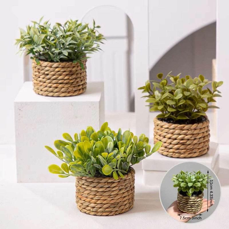 EMESA HOME Artificial Eucalyptus Potted Plant – Small 11cm Woven Pot, Green Grass Mound, PE Material Home Decoration - EMESA HOME™