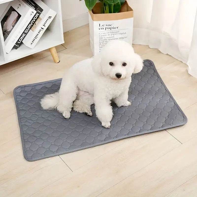 EMESA HOME Reusable Dog Pee Pad – Waterproof & Washable Pet Training Mat for Floor, Sofa, Car Seat & More