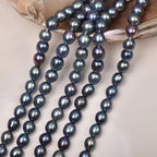 Dark blue-gray freshwater pearl beads draped over a natural shell on a light beige background.