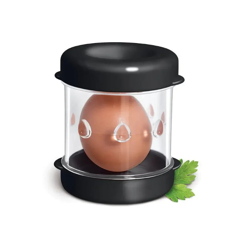 Clear egg incubator with a brown egg on a white background